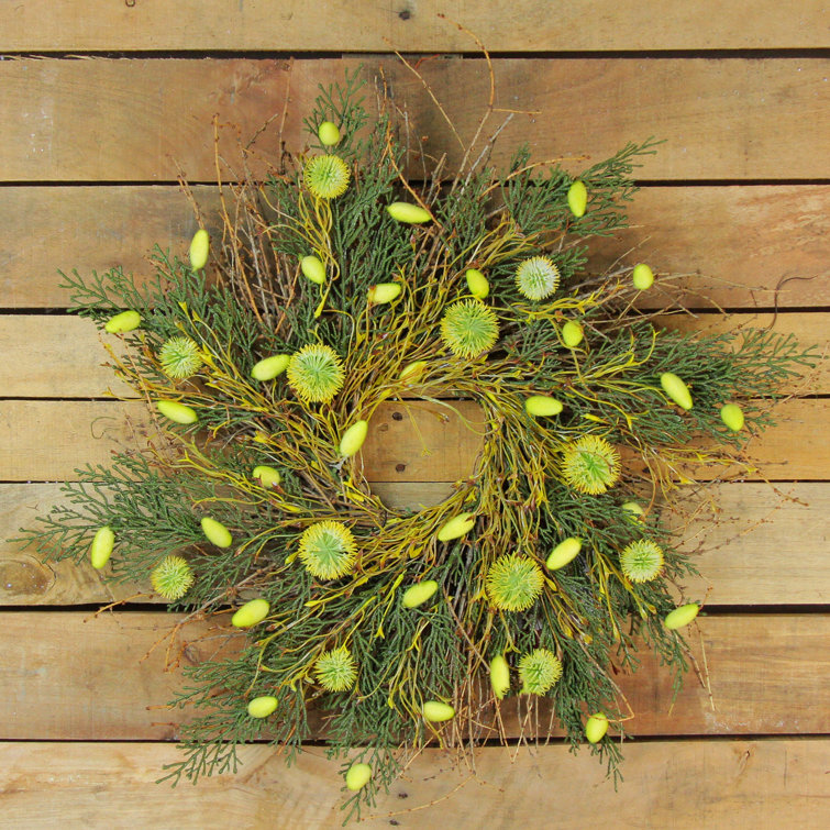 Northlight Burrs and Craspedia Artificial Twig Wreath Yellow and Green